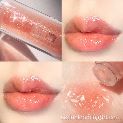 Venta al por mayor Clear Glitter Glossy Lip Gloss Private Label